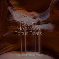 Thumbnail for the Sounds of Nature White Noise for Mindfulness Meditation and Relaxation - Spa & Meditation Focus Beats link, provided by host site