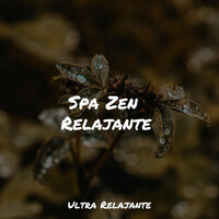 Image of Relajante linking to their artist page due to link from them being at the top of the main table on this page