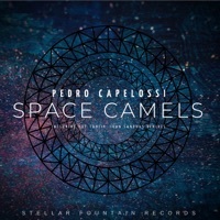 Thumbnail for the Pedro Capelossi - Space Camels (Hot TuneiK Remix) link, provided by host site