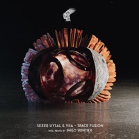 Thumbnail for the Sezer Uysal - Space Control (Iñigo Vontier Remix) link, provided by host site