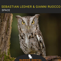 Image of Sebastian Ledher linking to their artist page due to link from them being at the top of the main table on this page