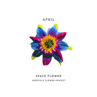 Thumbnail for the PERC%NT - Space Flower link, provided by host site