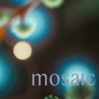 Thumbnail for the Mosaic - spacy pop DNB link, provided by host site