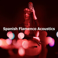 Thumbnail for the Flamenco Guitar Masters - Spanish Flamenco Acoustics link, provided by host site