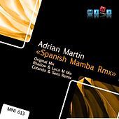 Thumbnail for the Adrian Martin - Spanish Mamba link, provided by host site