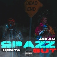 Thumbnail for the Hosta - Spazz Out link, provided by host site