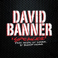 Thumbnail for the David Banner - Speaker link, provided by host site