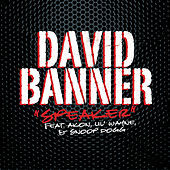 Thumbnail for the David Banner - Speaker link, provided by host site