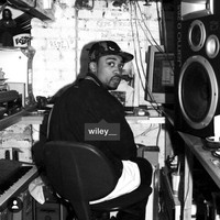 Thumbnail for the Wiley - Speakerbox link, provided by host site