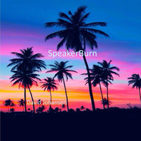 Thumbnail for the David Johansen - SpeakerBurn link, provided by host site