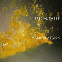 Thumbnail for the Massive Attack - Special Cases link, provided by host site