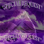 Thumbnail for the Special Request - Special Request link, provided by host site