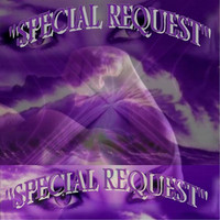 Thumbnail for the Special Request - Special Request link, provided by host site