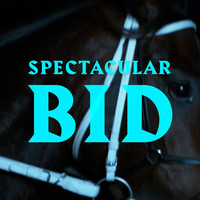 Thumbnail for the Norma - Spectacular Bid link, provided by host site
