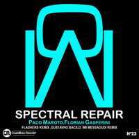 Thumbnail for the Paco Maroto - Spectral Repair link, provided by host site