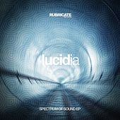 Thumbnail for the Lucidia - Spectrum of Sound link, provided by host site