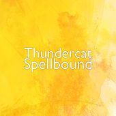 Thumbnail for the Thundercat - Spellbound link, provided by host site