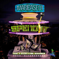 Thumbnail for the Maribased1 - Spend It link, provided by host site