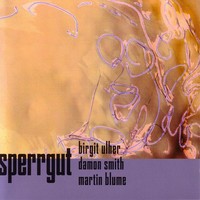 Thumbnail for the Birgit Ulher - Sperrgut link, provided by host site