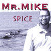 Thumbnail for the Mr. Mike - Spice link, provided by host site