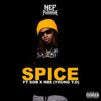Thumbnail for the Nef The Pharaoh - Spice link, provided by host site