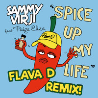 Thumbnail for the Sammy Virji - Spice Up My Life (Flava D Remix) link, provided by host site