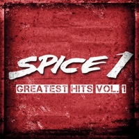 Thumbnail for the Spice-1 - Spiceberg Slim link, provided by host site