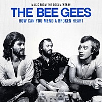 Thumbnail for the Bee Gees - Spicks And Specks link, provided by host site