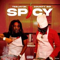 Thumbnail for the Teejay3k - Spicy link, provided by host site