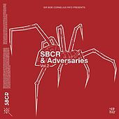Thumbnail for the SBCR - Spider link, provided by host site