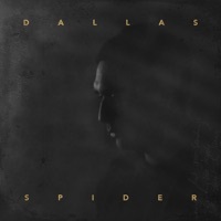 Thumbnail for the Dallas Tamaira - Spider link, provided by host site