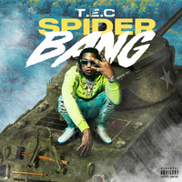 Thumbnail for the TEC - Spider Bang link, provided by host site