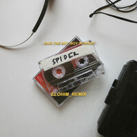 Thumbnail for the Said the Sky - Spider (Elohim Remix) link, provided by host site