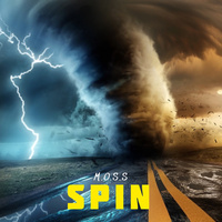 Thumbnail for the the moss - Spin link, provided by host site