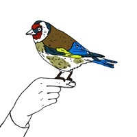Thumbnail for the Sutekh - Spiracles link, provided by host site