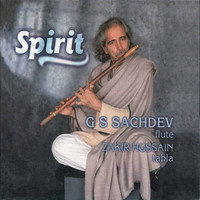 Thumbnail for the G.S. Sachdev - Spirit link, provided by host site