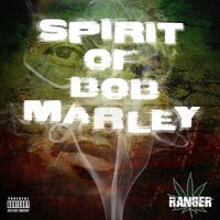 Thumbnail for the The Ranger - Spirit Of Bob Marley link, provided by host site