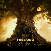 Thumbnail for the Fuse ODG - Spirit of New Africa link, provided by host site