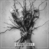 Thumbnail for the Spiritbox - Spiritbox link, provided by host site