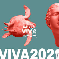 Thumbnail for the VayFlor - Spirito link, provided by host site