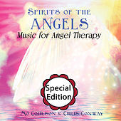 Thumbnail for the Chris Conway - Spirits of the Angels: Music for Angel Therapy: Special Edition link, provided by host site