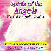 Thumbnail for the Chris Conway - Spirits of the Angels: Music for Angelic Healing link, provided by host site