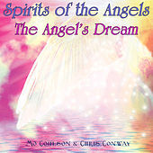 Thumbnail for the Chris Conway - Spirits of the Angels - The Angel's Dream link, provided by host site