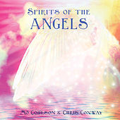 Thumbnail for the Chris Conway - Spirits of the Angels link, provided by host site