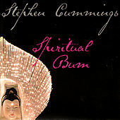 Thumbnail for the Stephen Cummings - Spiritual Bum link, provided by host site