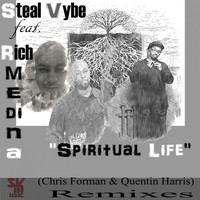 Thumbnail for the Steal Vybe - Spiritual Life link, provided by host site