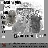 Thumbnail for the Steal Vybe - Spiritual Life link, provided by host site