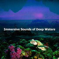 Thumbnail for the Fresh Water Sounds - Splash Thunder link, provided by host site