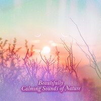 Thumbnail for the Sounds Of Nature - Splashes in the River link, provided by host site