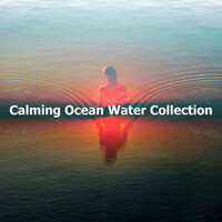 Image of Water Sounds for Sleep linking to their artist page due to link from them being at the top of the main table on this page